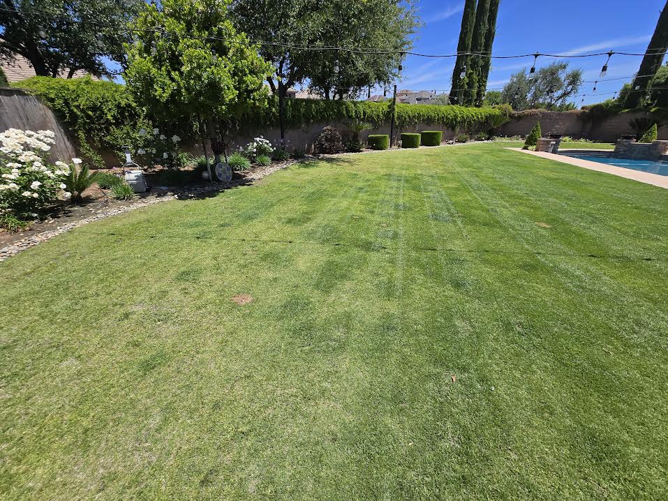 Lawn Care Project 2