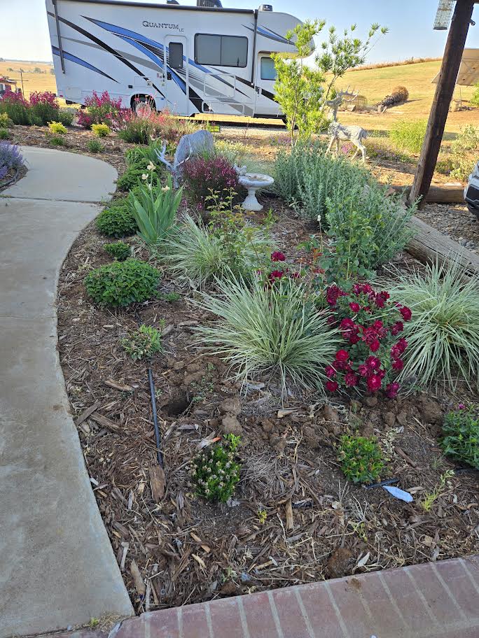 Lawn Care Project 3