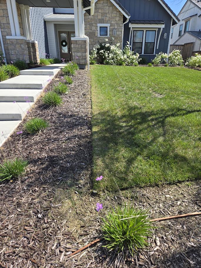 Lawn Care Project 4
